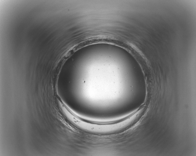 X0000064750969200602241829