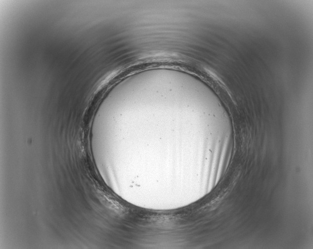 X0000064750970200602241829