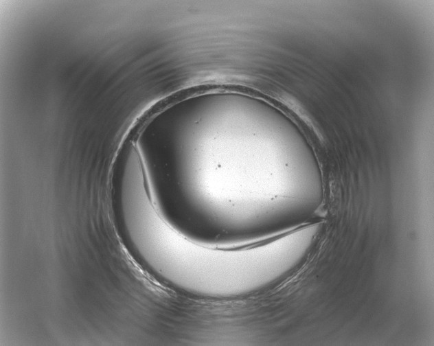 X0000064750972200602241829