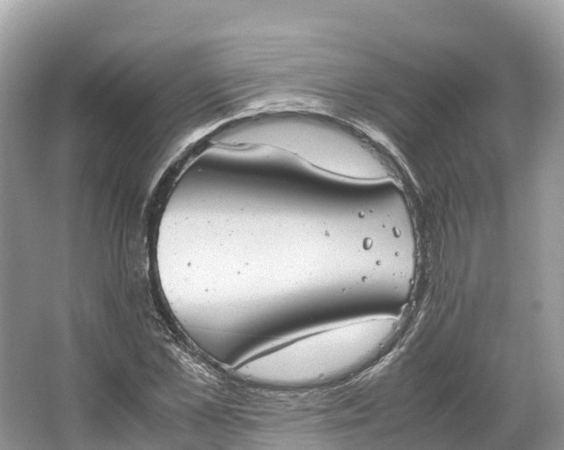 X0000064750973200602241829