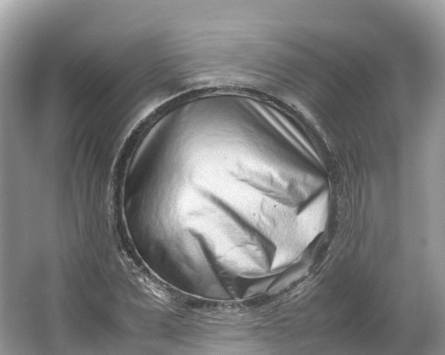 X0000064750975200602241829