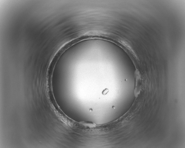 X0000064750976200602241829