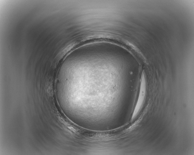 X0000064750977200602241829