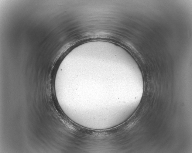 X0000064750978200602241829