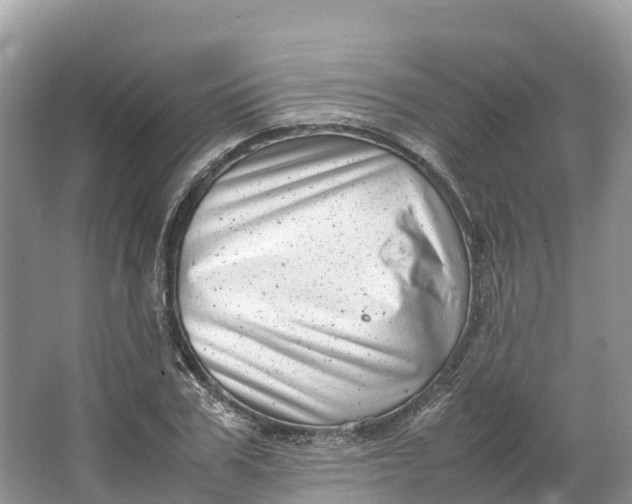 X0000064750979200602241829