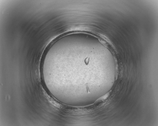 X0000064750980200602241829