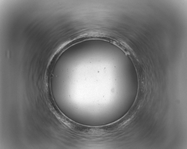 X0000064750981200602241829