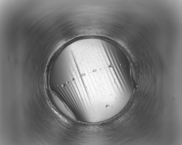 X0000064750982200602241829