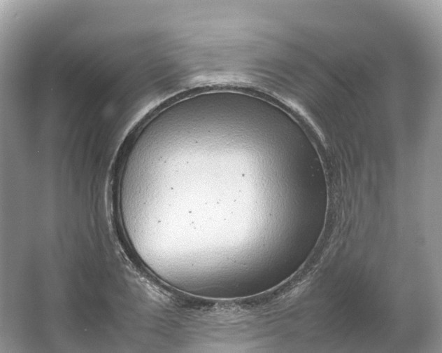 X0000064750983200602241829