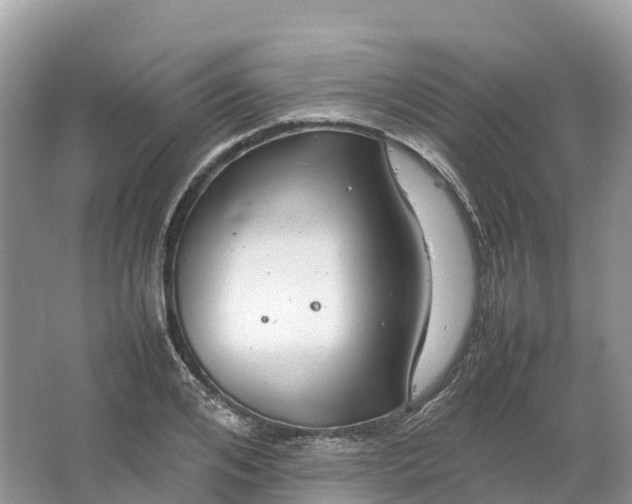 X0000064750984200602241829