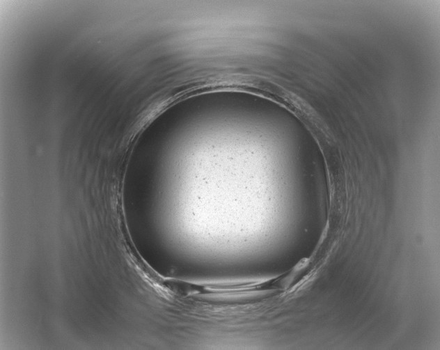 X0000064750985200602241829