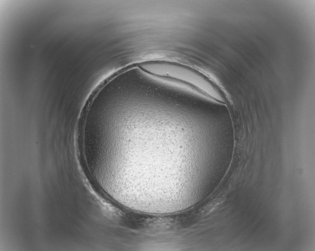 X0000064750991200602241829