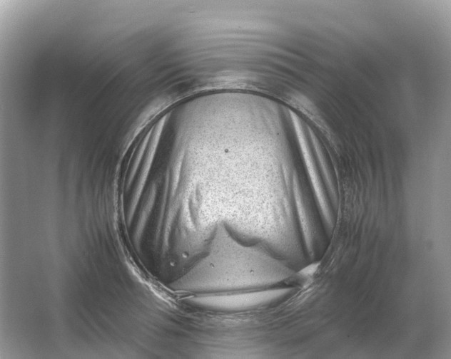 X0000064750994200602241829