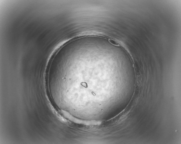 X0000064750995200602241829