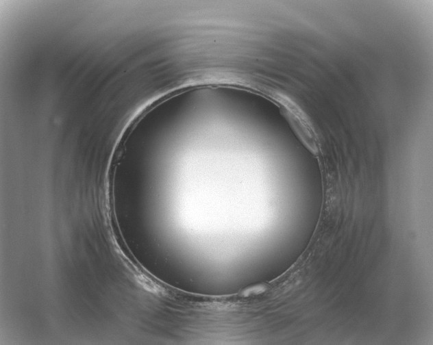 X0000064750996200602241829