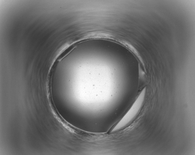 X0000064750997200602241829