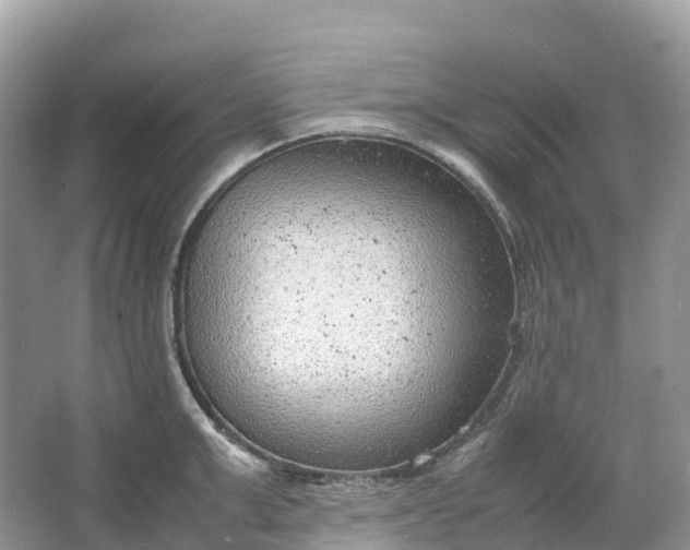 X0000064750999200602241829