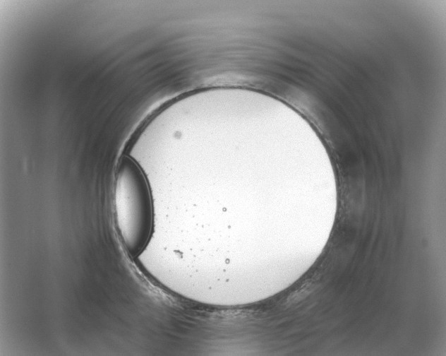 X0000064751000200602241829