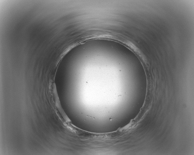 X0000064751001200602241829