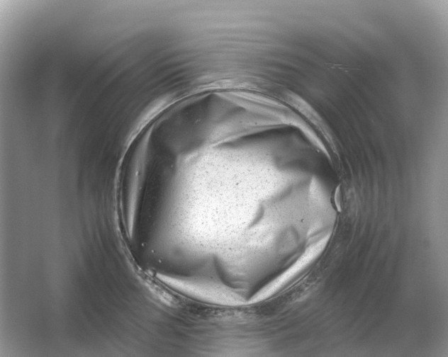 X0000064751002200602241829