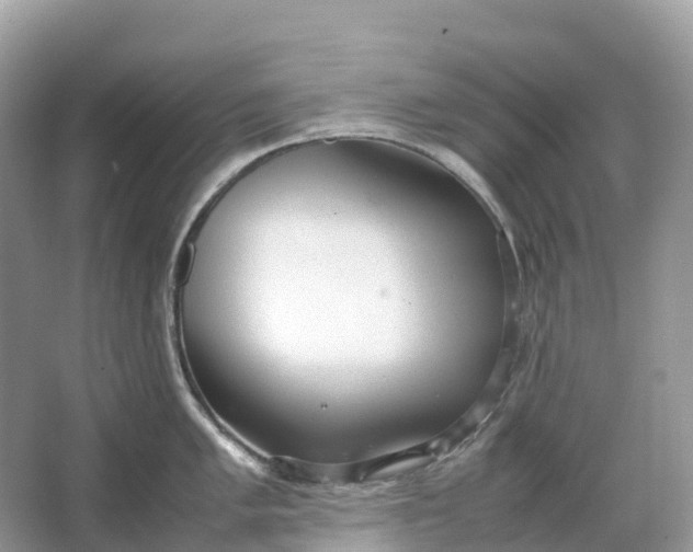 X0000064751005200602241829