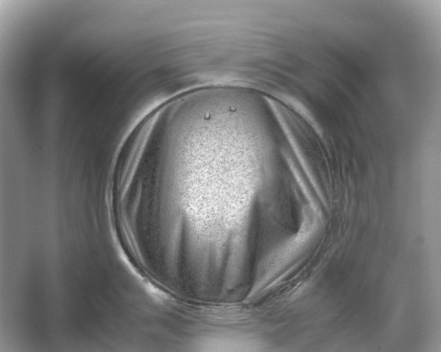 X0000064751007200602241829