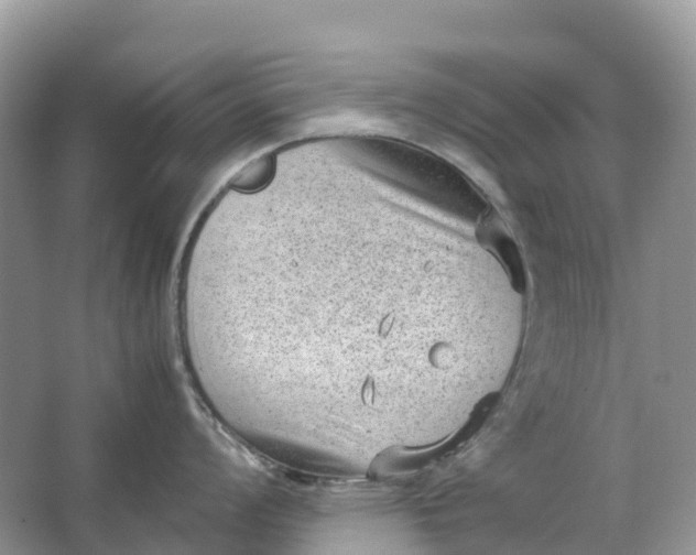 X0000064751008200602241829