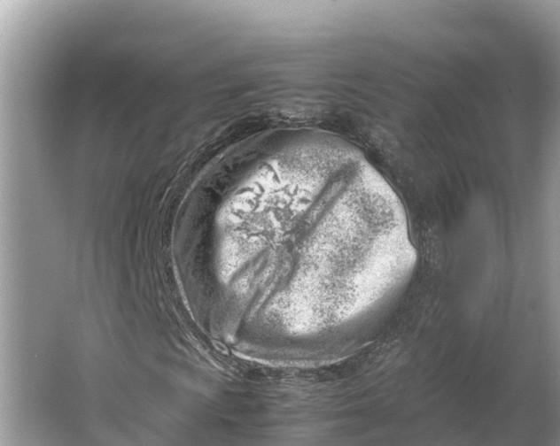 X0000064751009200602241827