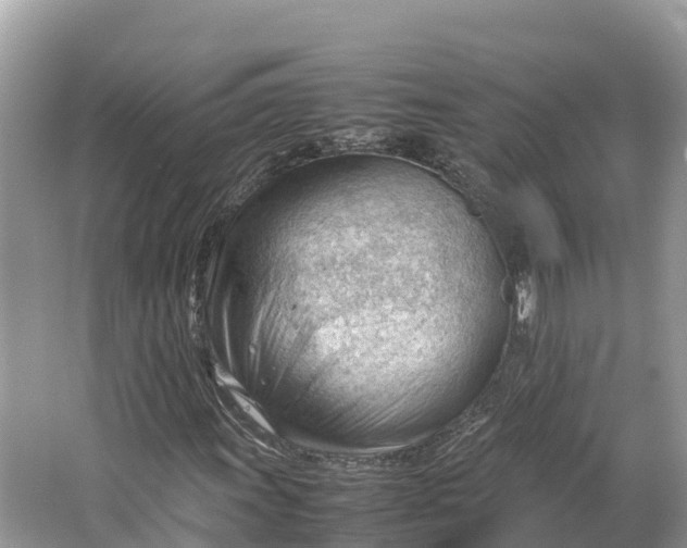 X0000064751011200602241827