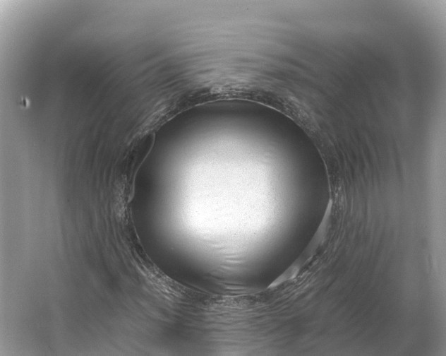 X0000064751012200602241827