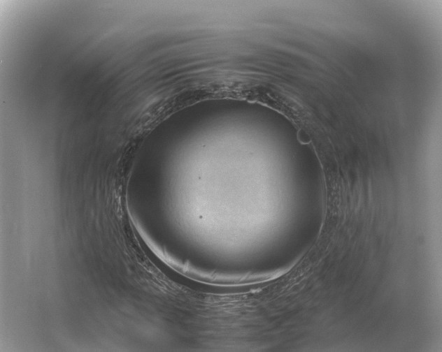 X0000064751013200602241827