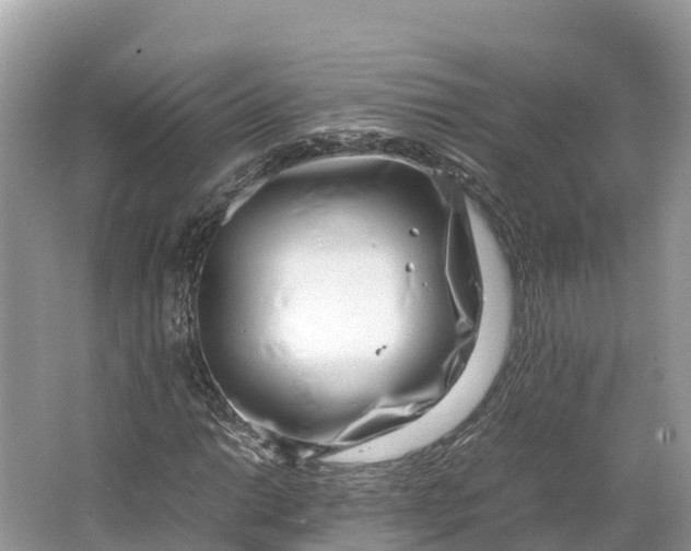 X0000064751014200602241827