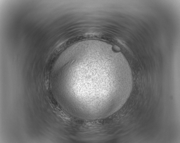 X0000064751015200602241827