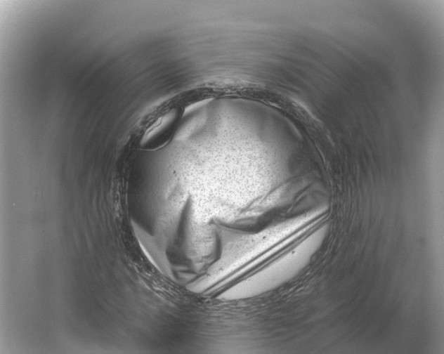 X0000064751016200602241827