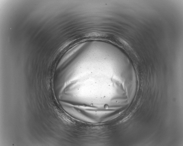 X0000064751017200602241827