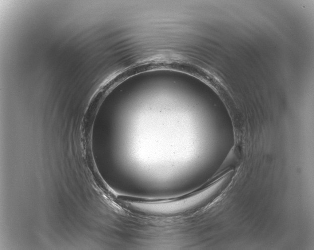 X0000064751018200602241828