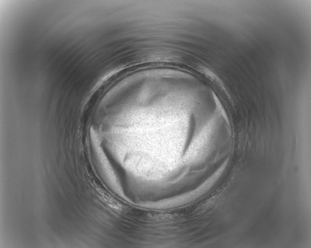 X0000064751019200602241828