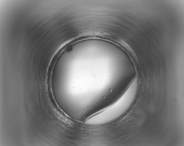 X0000064751020200602241828