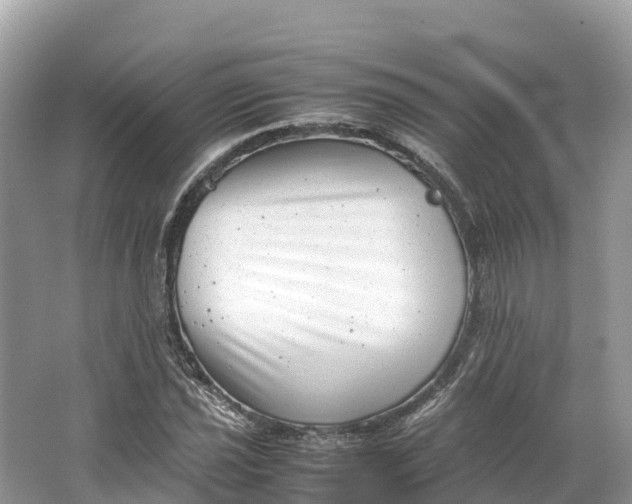 X0000064751021200602241828