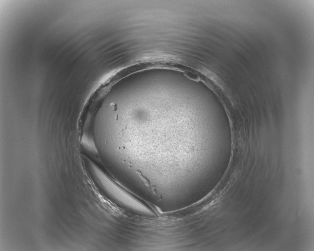 X0000064751022200602241828