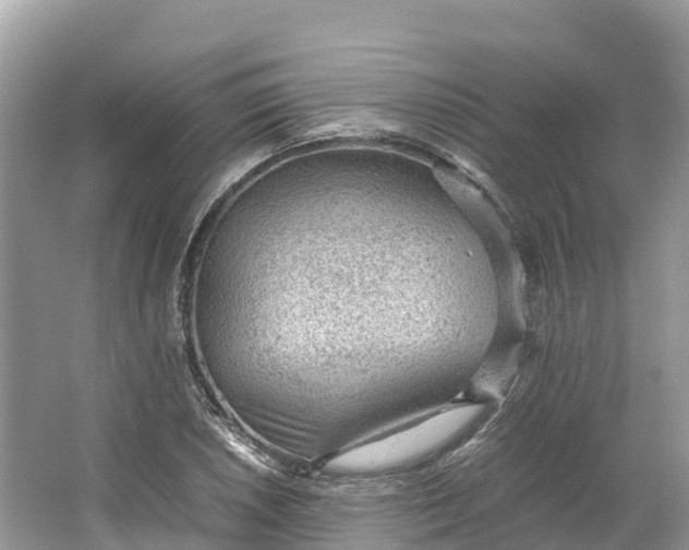 X0000064751026200602241828