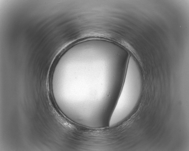 X0000064751028200602241828