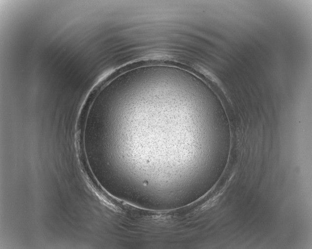 X0000064751029200602241828