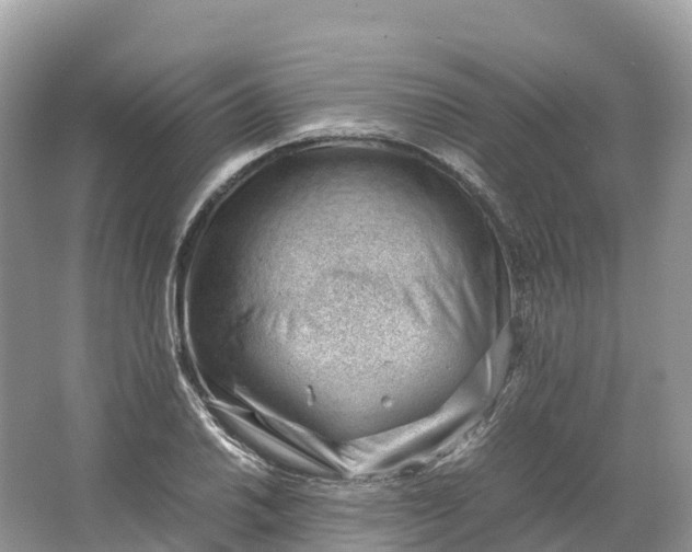 X0000064751030200602241828