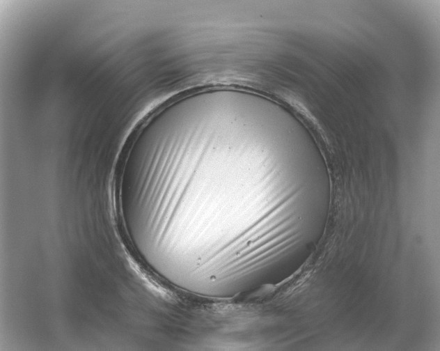 X0000064751032200602241828