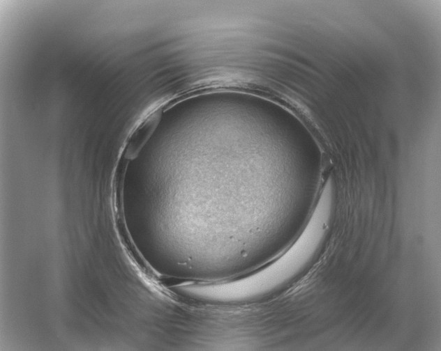 X0000064751034200602241828