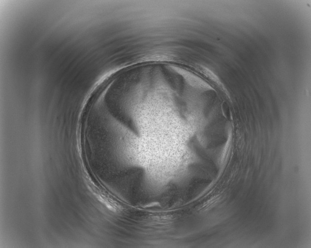 X0000064751035200602241828