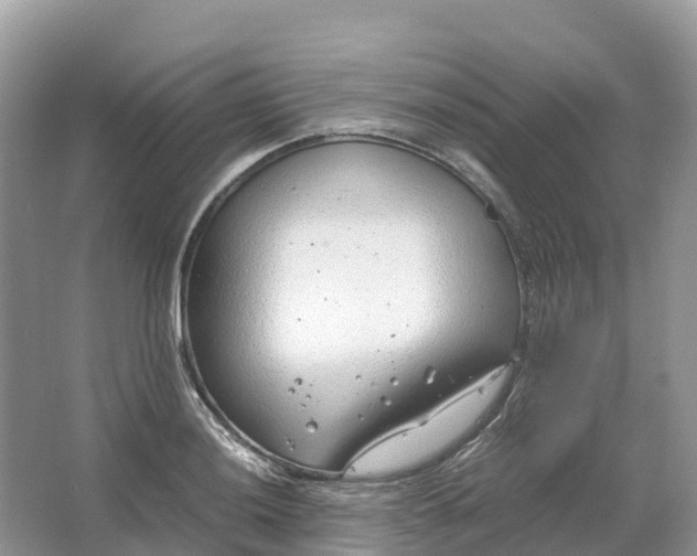 X0000064751036200602241828