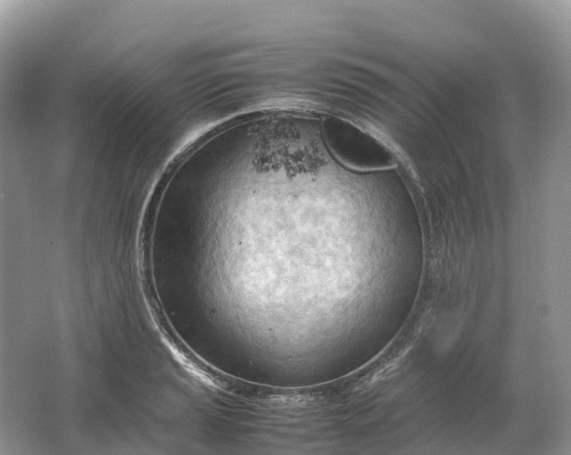 X0000064751037200602241828