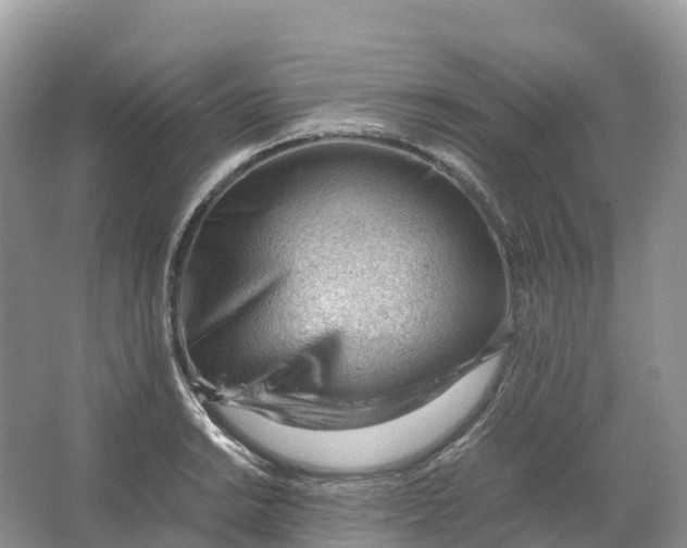 X0000064751038200602241828